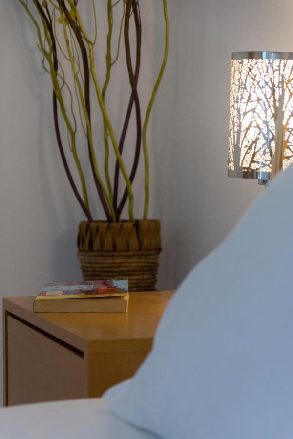 Natsios Apartments Vlachopoulátika מראה חיצוני תמונה